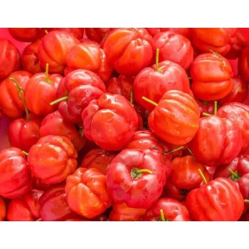 C-vita ACEROLA (250g/250serv) Medverita EU